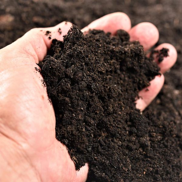 Compost